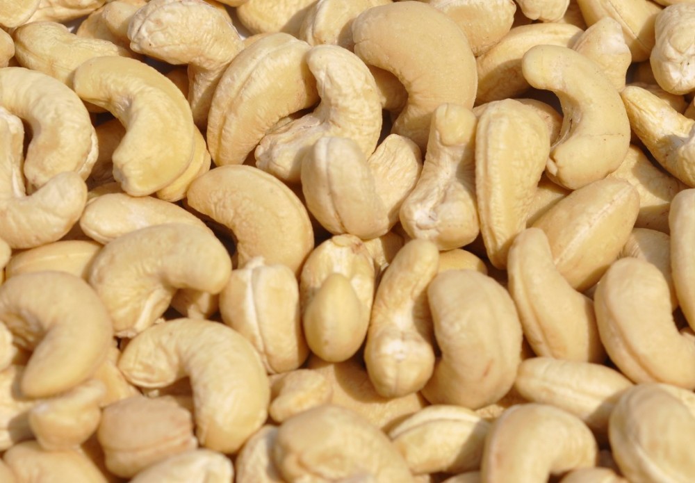 مؤسسة الشاعر التجارية